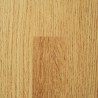 ROBLE 1210